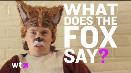 ylvis-the-fox-official-music-video-is-a-strai-l-kbuneq
