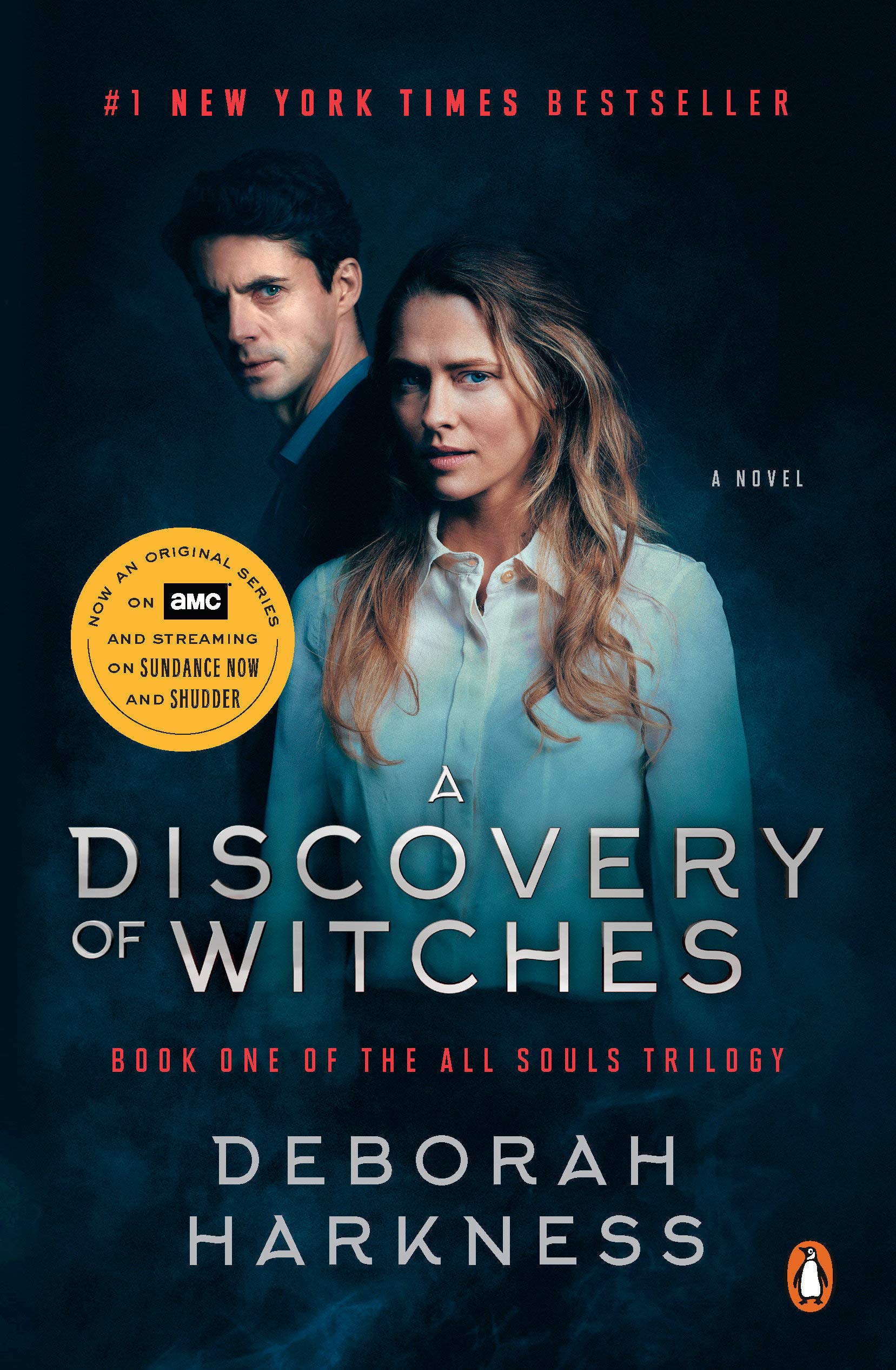 a discovery of witches book a discovery of witches book